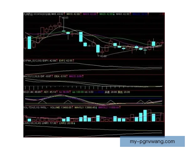 举重盘口分析：技巧与策略解读