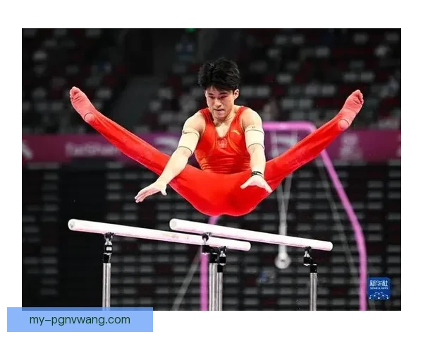 体操冠军：探寻背后的故事和努力