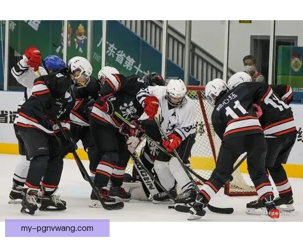 冰球实时比分直击，精彩纷呈，全方位掌握！