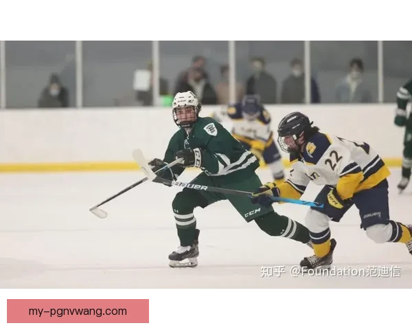 冰球世界纪录大揭秘：最惊人数据和壮丽时刻！