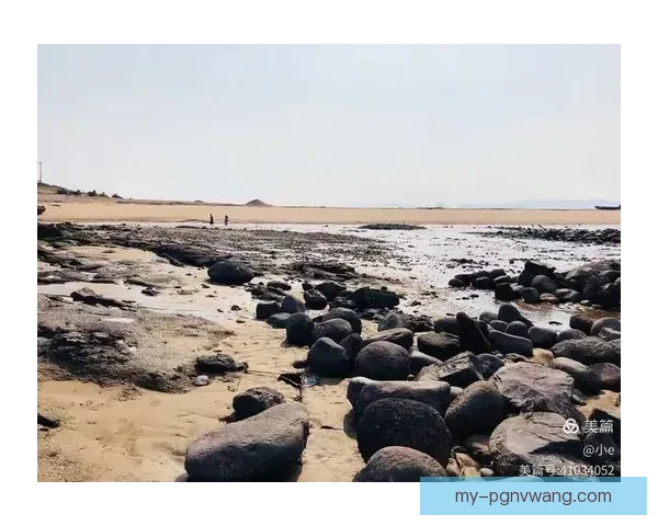 冲浪比分一览：实时潮起潮落