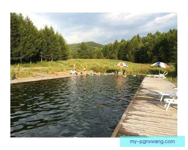 学会跳水的基本技巧和注意事项