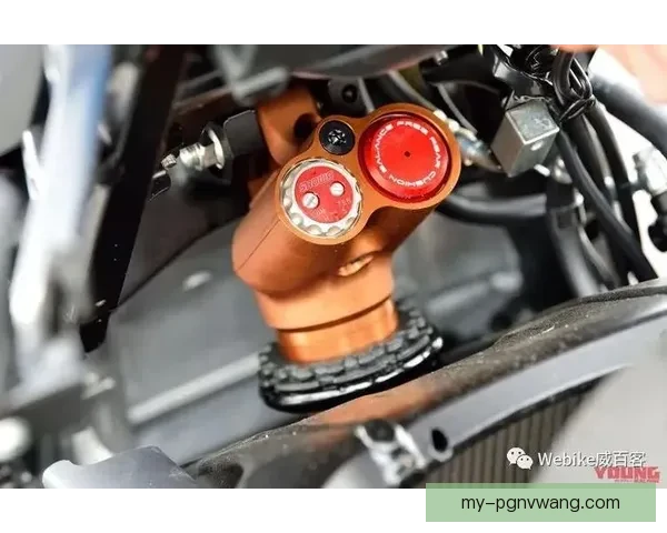 山地车对战解析：技术与策略的碰撞