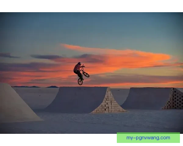 尽情飞跃：BMX技能教学视频大全