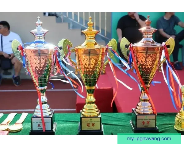 巅峰对决：全球足球菁英争夺冠军奖杯