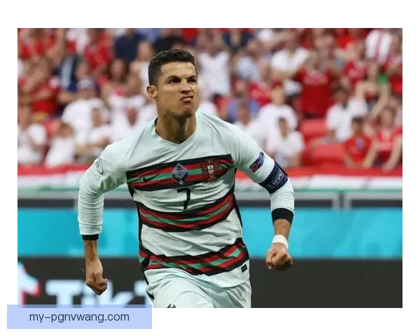 提高帆船驾驶技巧，成为顶级船长