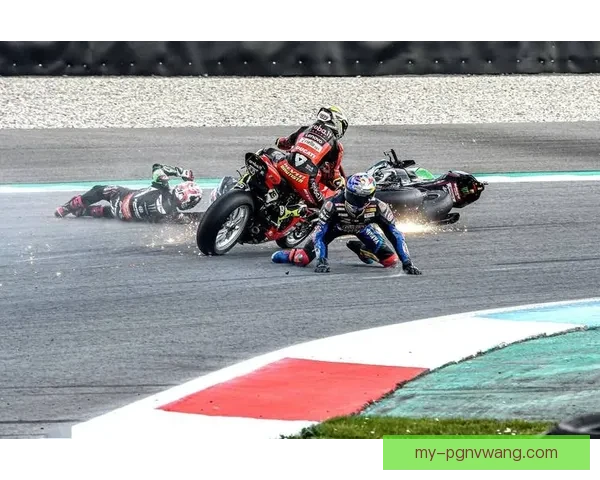 摔跤数据统计与比赛策略分析