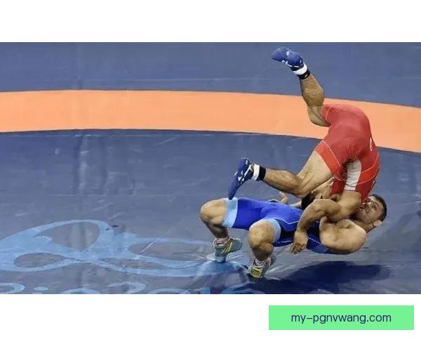 摔跤巅峰争霸：搏击之路再度开启