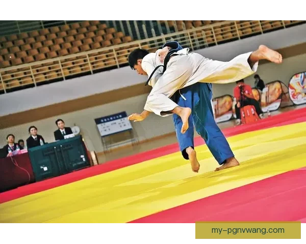 柔道锦标赛:力量与技术的巅峰对决 柔道锦标赛:力量与技术的巅峰对决