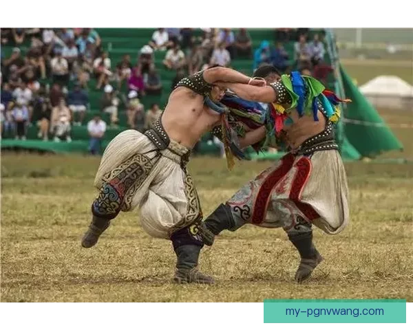 柔道排名解读：技击之间，力量与技术的较量