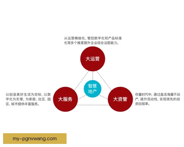 普拉提数据分析：优化企业运营的智慧路径