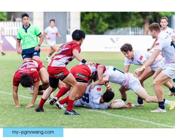 橄榄球盛宴：世界顶级球队争夺荣耀