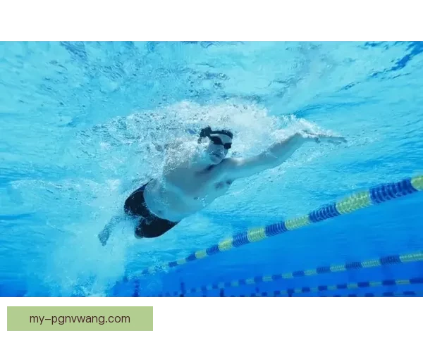 游泳排名：揭秘游泳界的新秩序