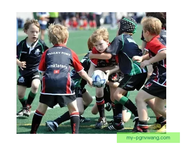 橄榄球体育投注技巧大揭秘