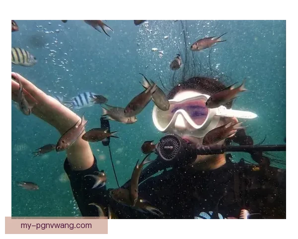 潜游直播：深潜水下的直播新体验