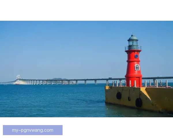 畅游海洋，帆船直播带你领略海上风情