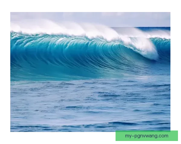 翻涌浪潮，共赏冲浪风采