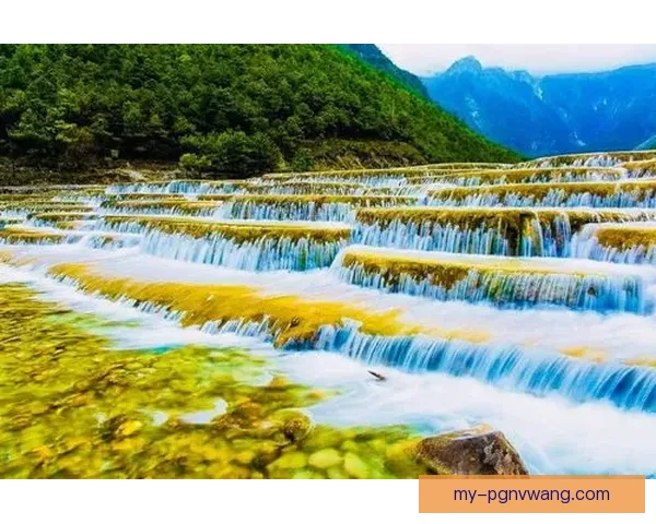 越野跑积分榜：挑战极限，登上巅峰