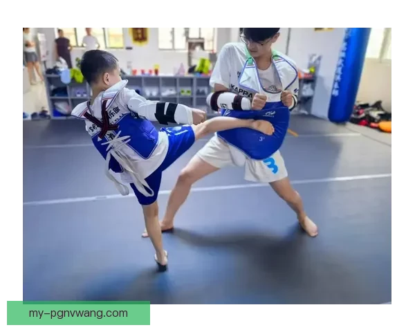 跆拳道全面训练指南：技巧、战术、身体素质一网打尽